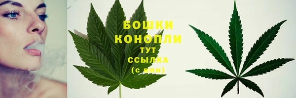 скорость Белокуриха
