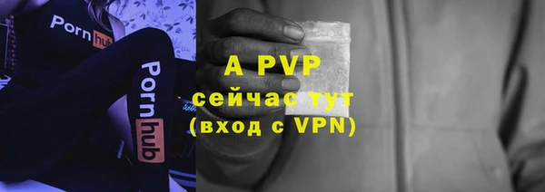 скорость Белокуриха