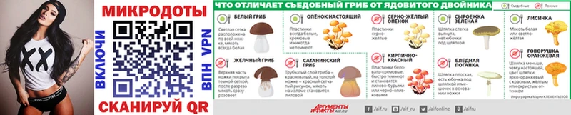 закладка Вуктыл мега ссылка Псилоцибиновые грибы мухоморы